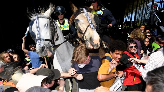 Two protesters have been arrested for cruelty to animal offences for assaulting a police horse. Picture: Jake Nowakowski