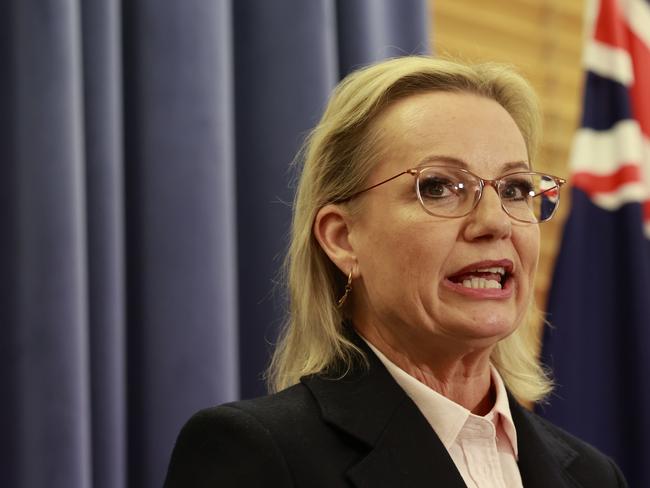 Federal Liberal Leader Sussan Ley.Picture: Hilary Wardhaugh/Getty Images