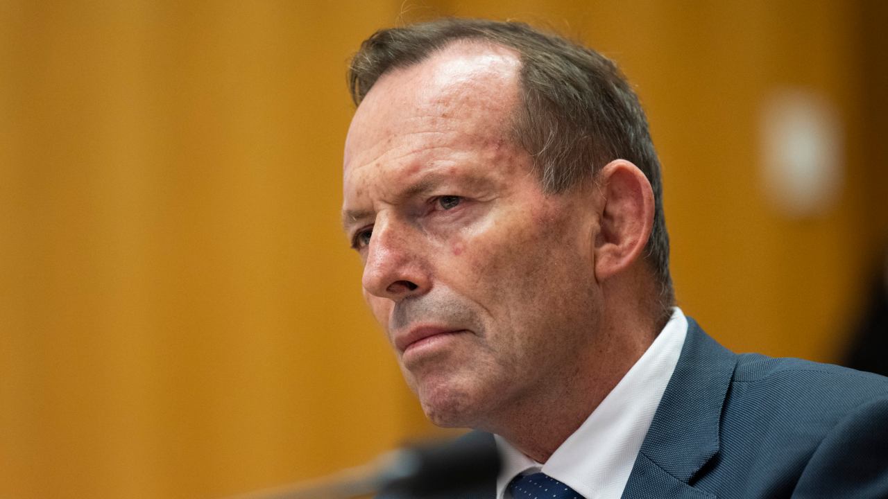 Tony Abbott highlights glaring flaw in misinformation bill as Coalition set to oppose measures