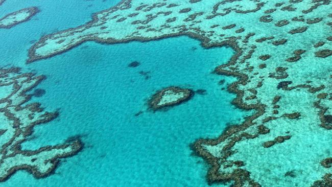 The Great Barrier Reef is suffering one of its worst crises in election history.