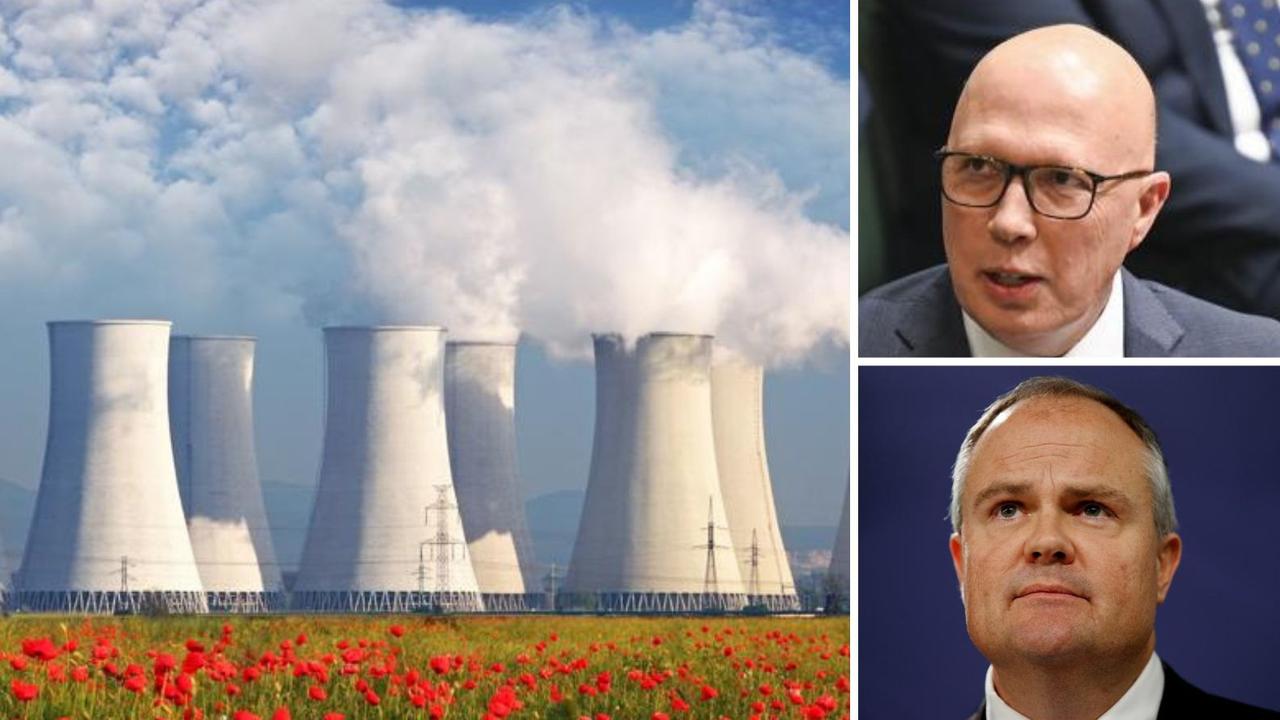 ‘Multiple reactors’: New detail in nuke plan