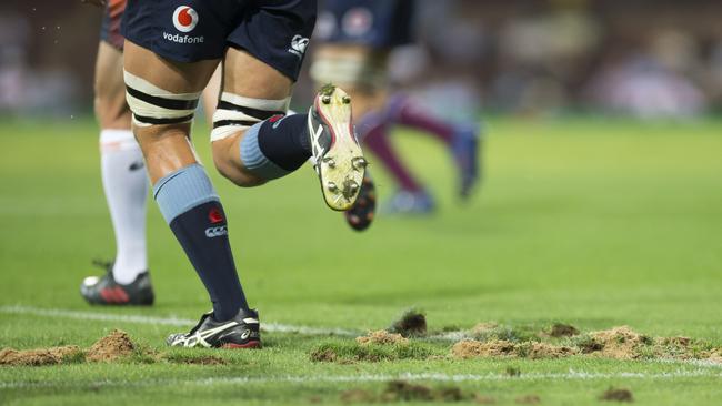 A close-up view of the SCG turf. Pic: AAP 