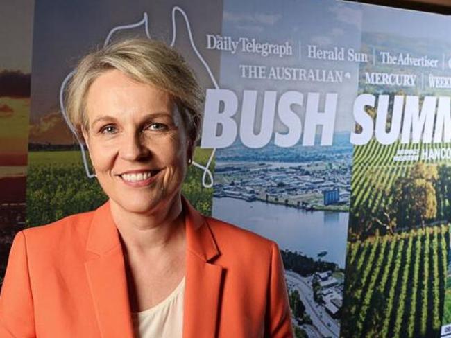 Environment Minister Tanya Plibersek is under pressure front up to The Daily Telegraph’s Bush Summit and explain why she vetoed a $1bn gold mine in Blayney, south of Orange.