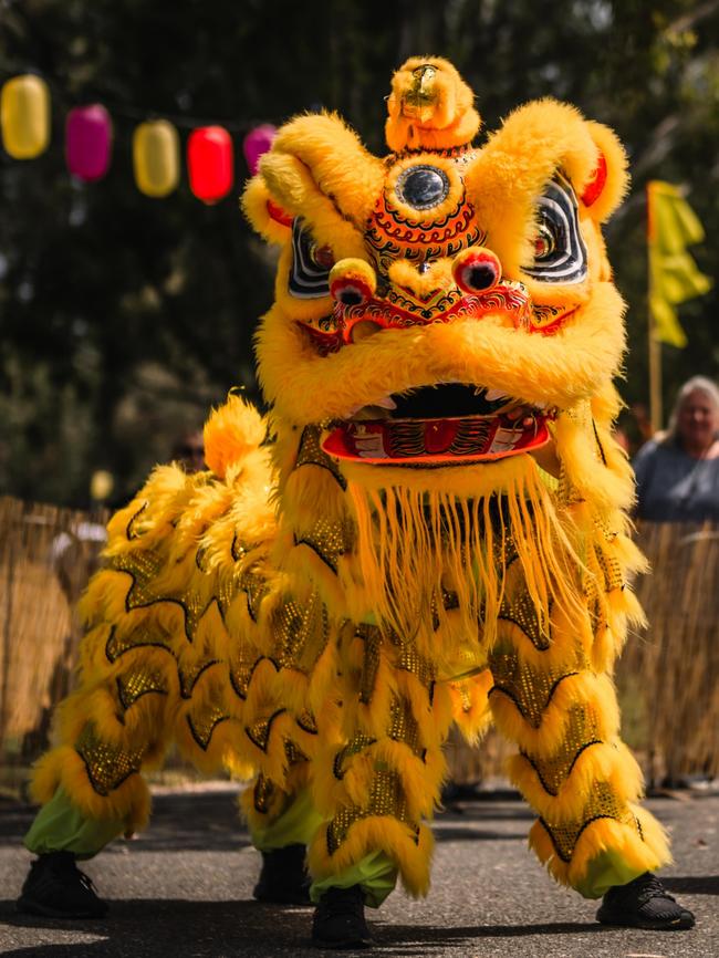 A more traditional Phap Hoa Lion Dance at the OzAsia Festival Moon Lantern Trail. Picture: Xplorer Studio