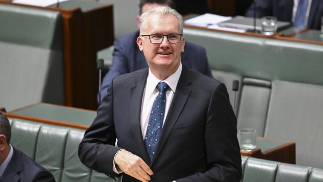 Minister for Home Affairs Tony Burke. Picture: NewsWire / Martin Ollman