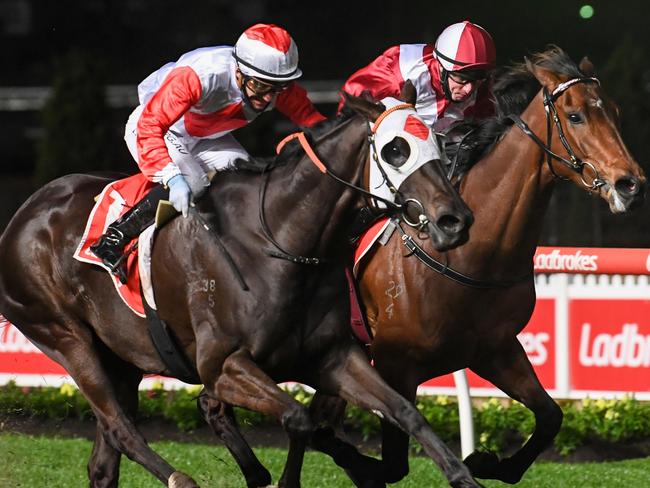 Mystic Journey ridden by Luke Currie wins the Four'N Twenty Stocks Stakes at Moonee Valley Racecourse on September 25, 2020 in Moonee Ponds, Australia. (Natasha Morello/Racing Photos via Getty Images)