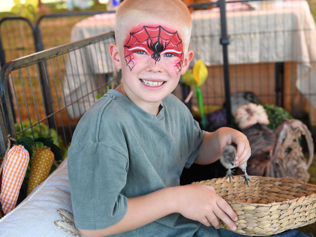 Tommy Smalley in the petting zoo at the Chief Minister's Cup. Picture: (A)manda Parkinson