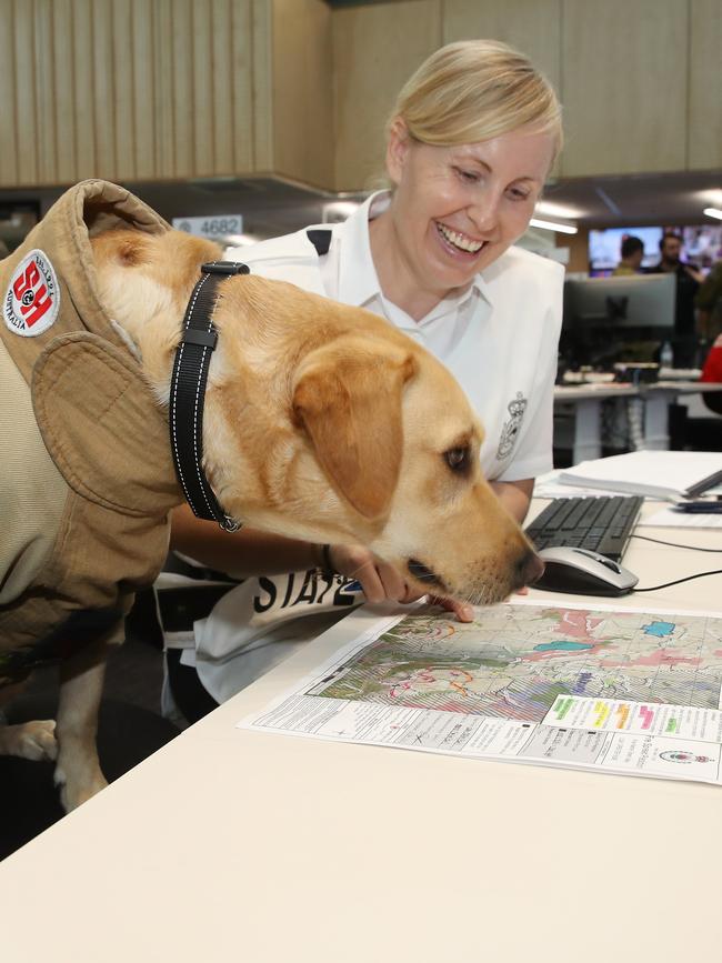 Assistant Commissioner and State Operations Controller Rebel Talbert explains the situation to Ember. Picture: David Swift