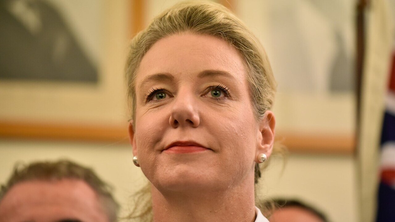 Labor Has ‘entire Crossbench Support For Bridget Mckenzie Inquiry Sky News Australia 4252