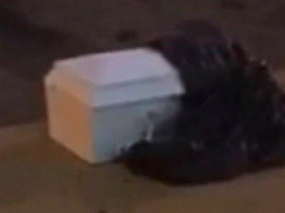 A child-sized casket was found on the side of the road in Philadelphia