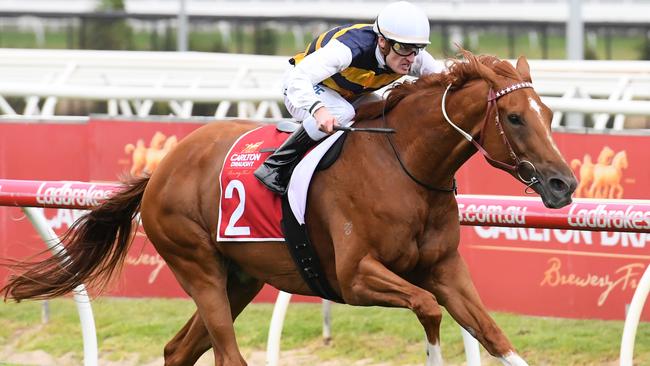 Gailo Chop is favourite for the Australian Cup at Flemington. Picture: Getty Images