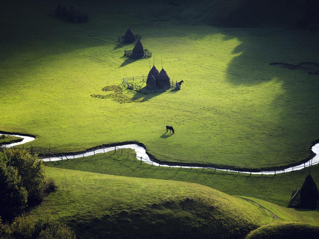 Photo by Sebastiaen/National Geographic Nature Photographer of the Year contest Heaven on Earth A magical moment in the morning right after sunrise with 2 horses in Fundatura Ponorului Transylvania, Romania