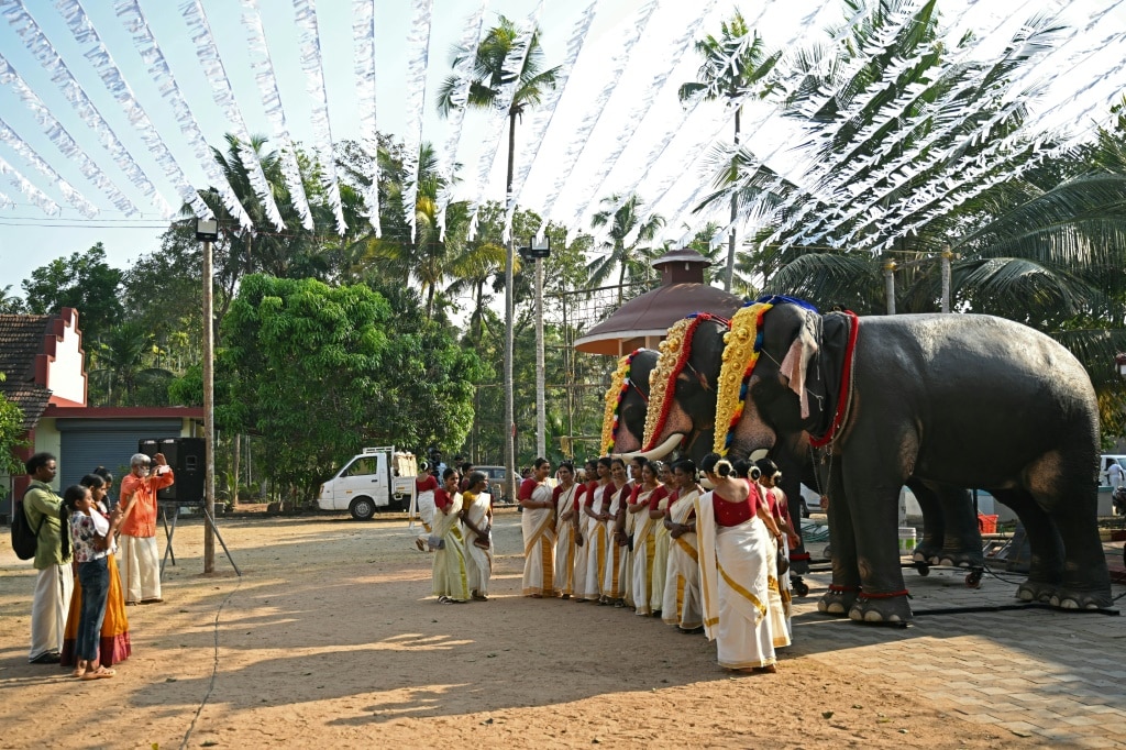 Model behaviour: India’s anti-cruelty robot elephants