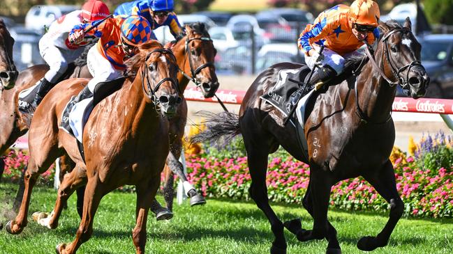 Johnny Rocker (left) almost produced a boilover at $71 in the Group 1 William Reid Stakes in March. Picture: Getty Images.