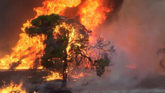 Hot, dry and windy weather remains a concern as firefighters battle a bushfire north of Perth. Picture: Generic image/PerthNow