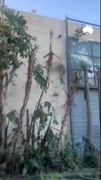 Hezbollah fires drone at Benjamin Netanyahu’s house