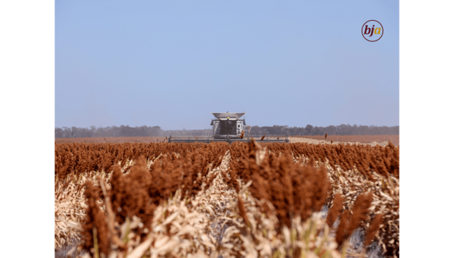 Wilga (1080ha) and Woodlands (1036ha) make up the mixed farming Wilga aggregation.