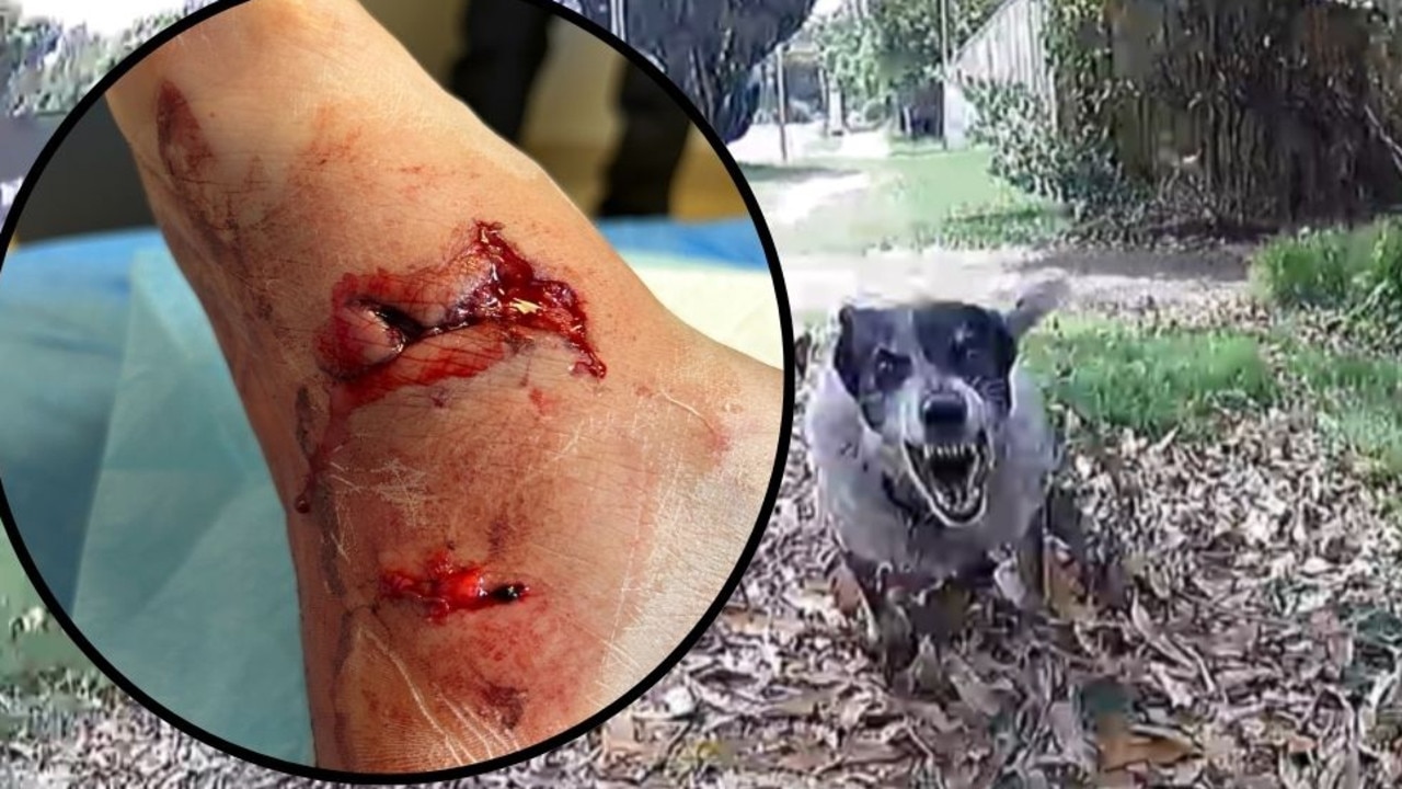 Toowoomba posties set to be armed after spate of dog attacks