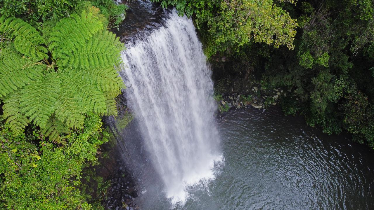 Millaa Millaa falls, a natural stream waterfall with a 16m drop, surrounded by rainforest and ferns near the town of Millaa Millaa on the Atherton Tablelands. PICTURE: BRENDAN RADKE