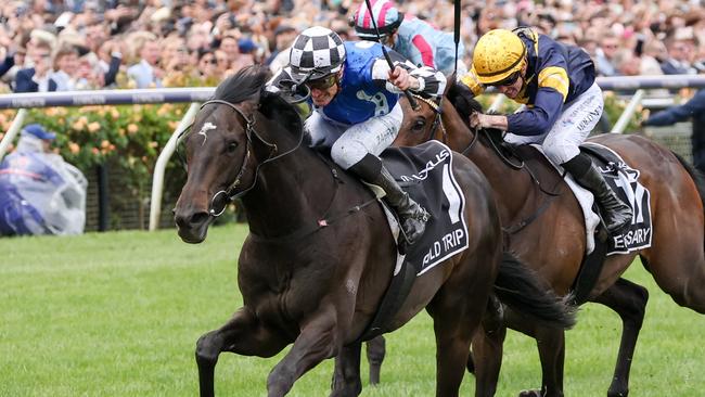 Last year’s winner Gold Trip is the Melbourne Cup topweight at 58.5kg. Picture: George Sal-Racing Photos via Getty Images