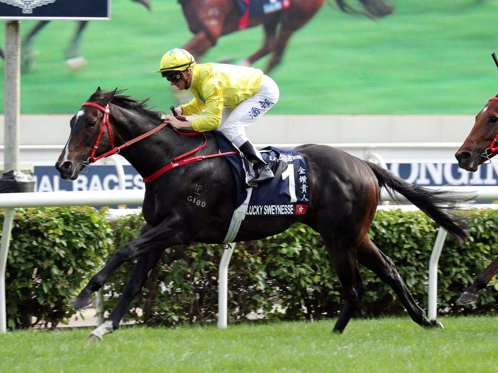 Lucky Sweynesse will chase a fifth Group 1 success on Sunday. Picture: HKJC