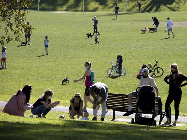 Two dogs have been baited at Como Park in South Yarra. Picture: David Geraghty