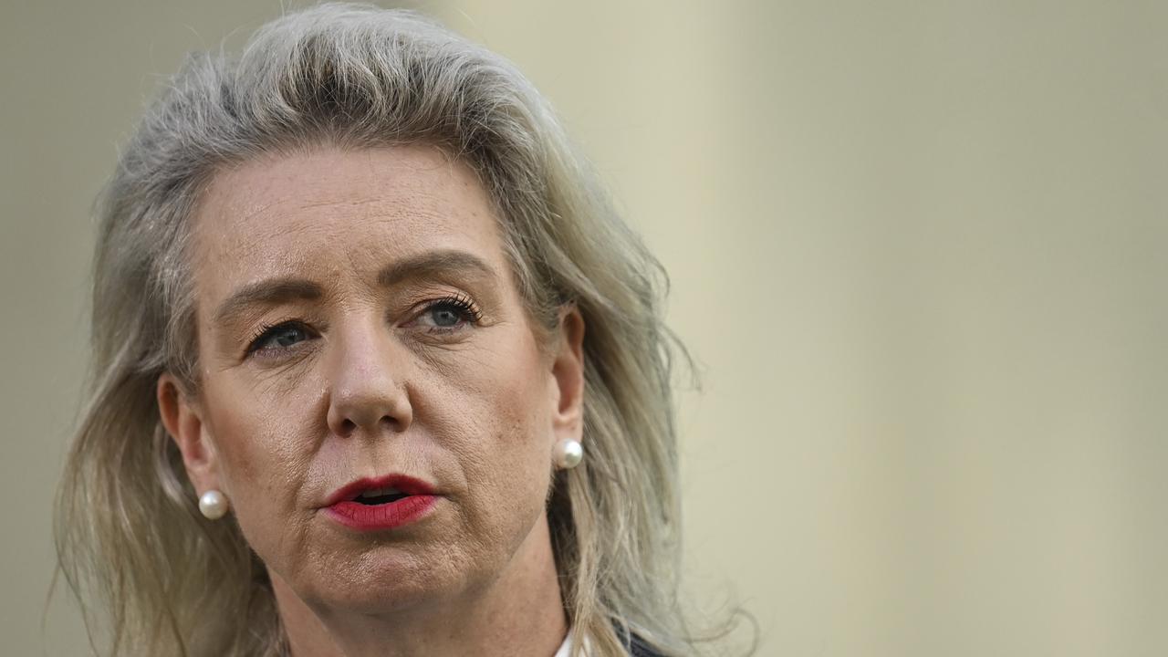 Opposition infrastructure spokeswoman Senator Bridget McKenzie. Picture: NCA NewsWire / Martin Ollman