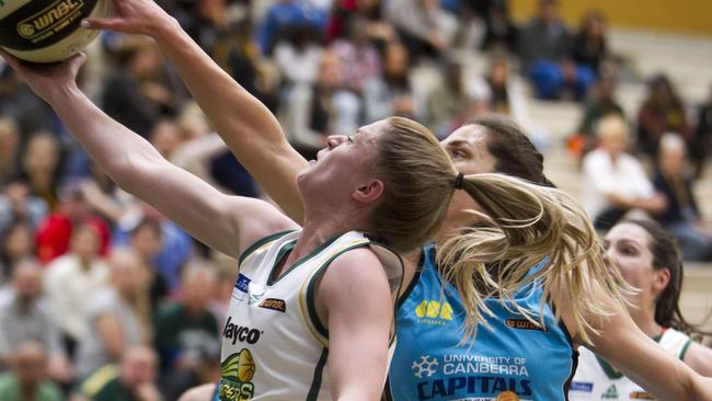 Marianna Tolo is pouring on the rebounds for Canberra.