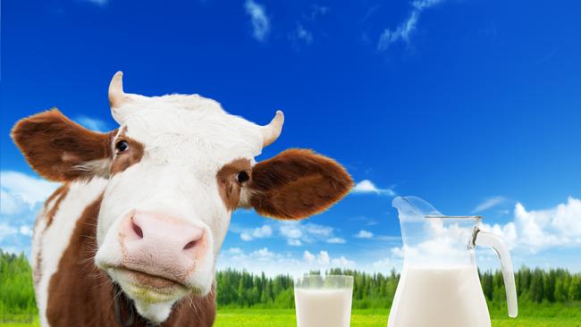 Cow says milk is good for you; mother would agree.