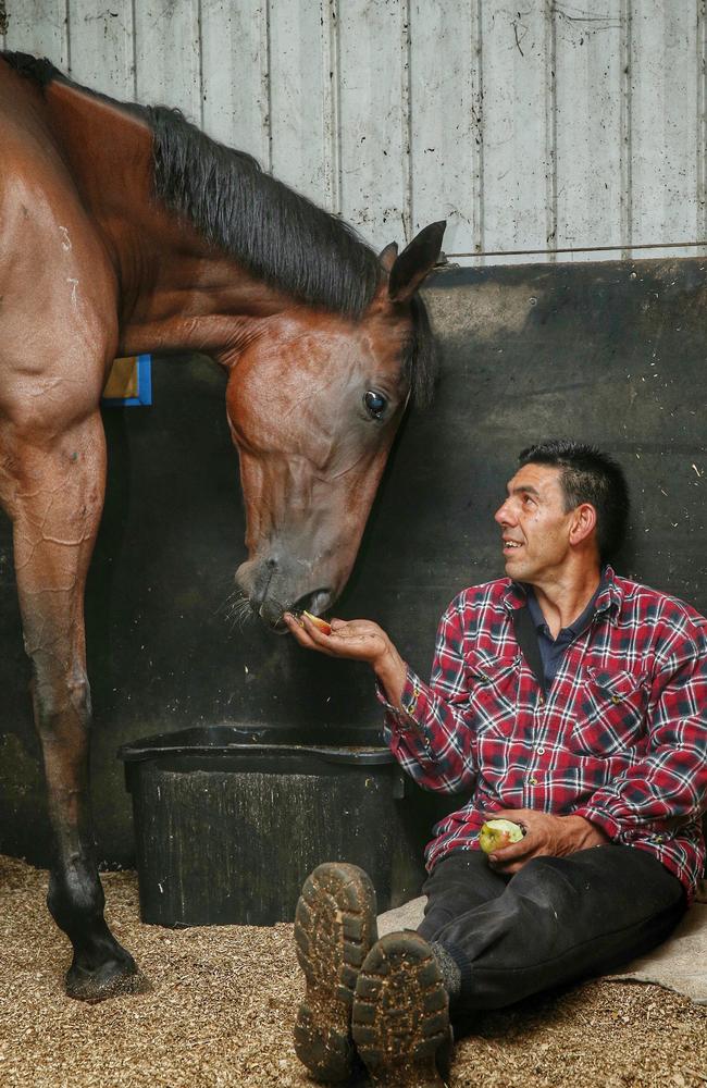 Peter Gelagotis with his Australian Cup hope Mourinho at his Moe stables. Picture: Colleen Petch