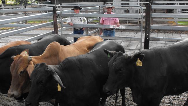 Agribusiness Elders' interim earnings are on investor radars.