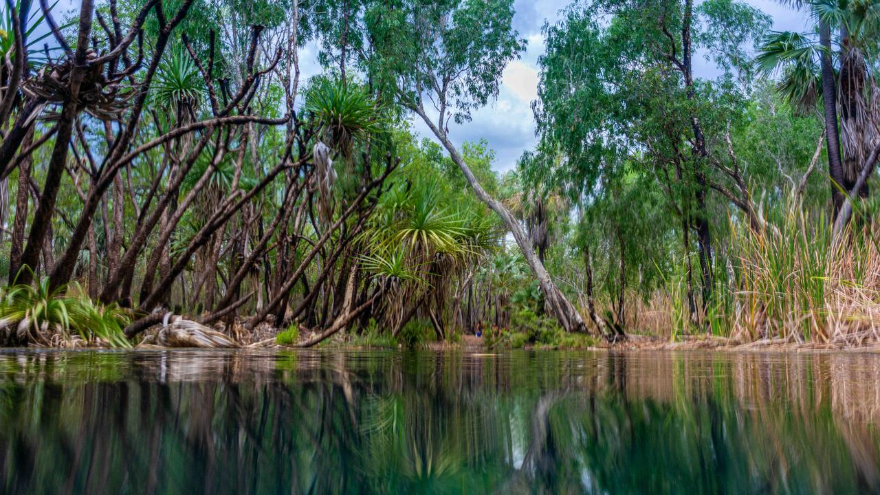 Bitter Springs at Elsey National Park. Photograph: Che Chorley