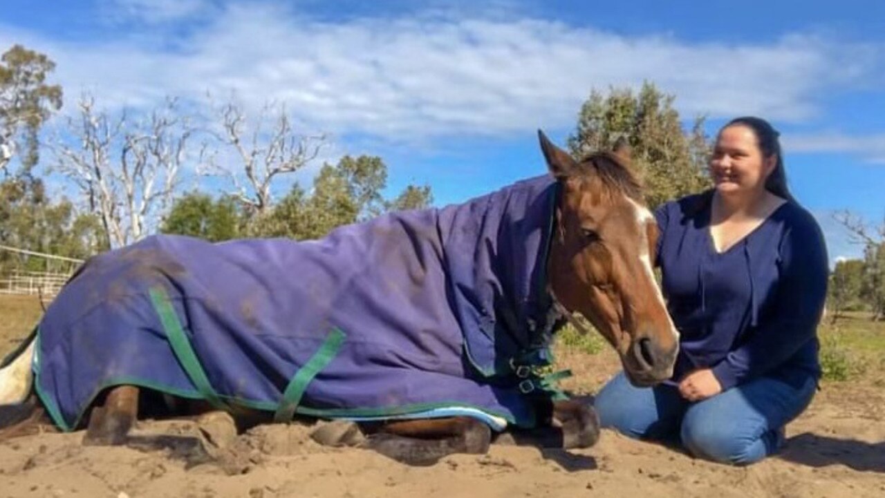 Brooklyn Turner with her beloved horse Skye, who was deliberately killed overnight on Wednesday, October 4. Owners made the gruesome discovery on Thursday morning at the Andergrove paddock on Beaconsfield Rd where she was homed. Police have ruled it foul play and are investigating.