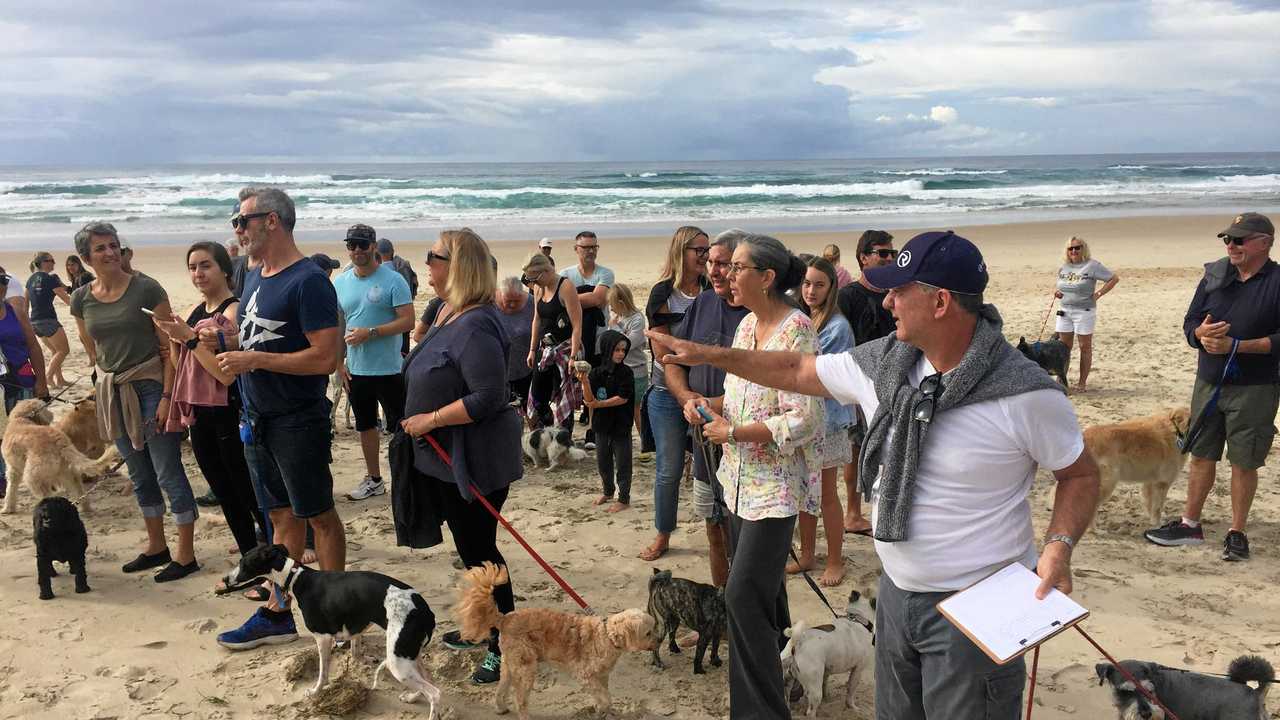 Salt and Casuarina residents are calling for dogs to be allowed to share the beach. Picture: Mark Grunwald