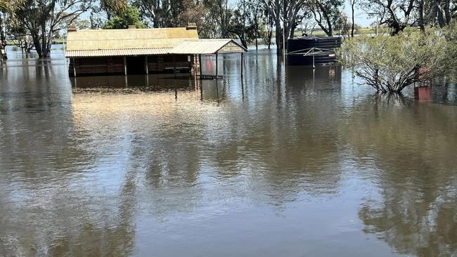 The Loddon River is expected to peak on Sunday. Picture: Vannessa Giorgio.