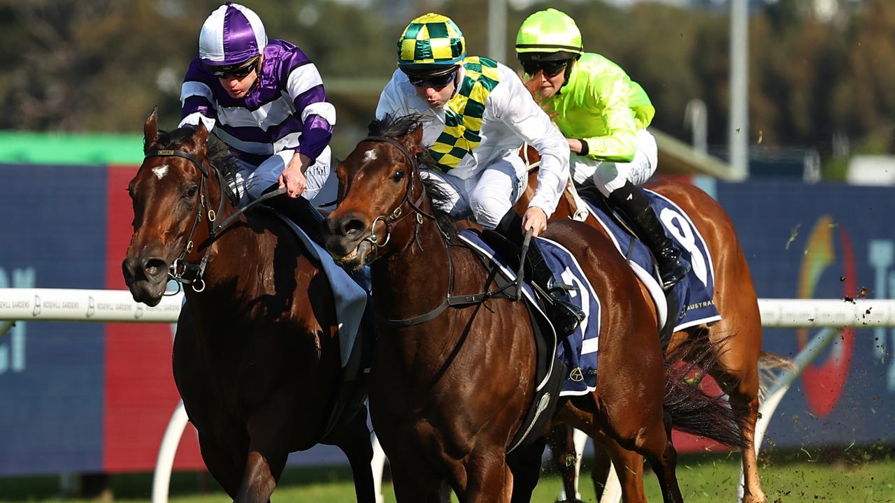 Sunshine In Paris was too good in the Sheraco Stakes at Rosehill on Saturday. Photo: Jeremy Ng/Getty Images.