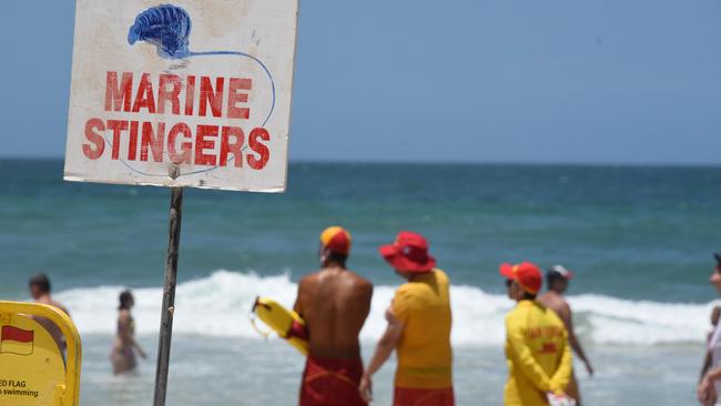 Beach Patrol at Surfers Paradise. Photo: Steve Holland