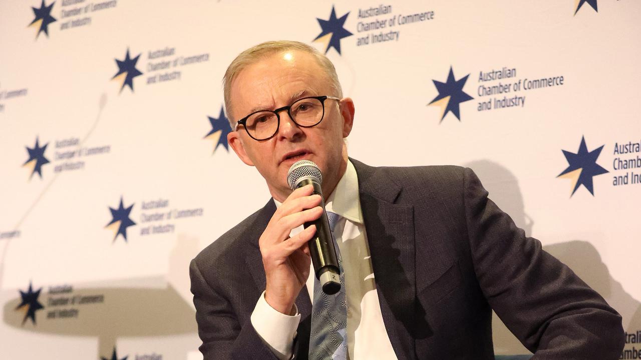 Labor leader Anthony Albanese addresses the Australian Chamber of Commerce and Industry lunch, Doltone House Darling Island, Sydney. Picture: Liam Kidston.