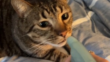 One video shows a person spraying water directly at their cat. Picture: TikTok