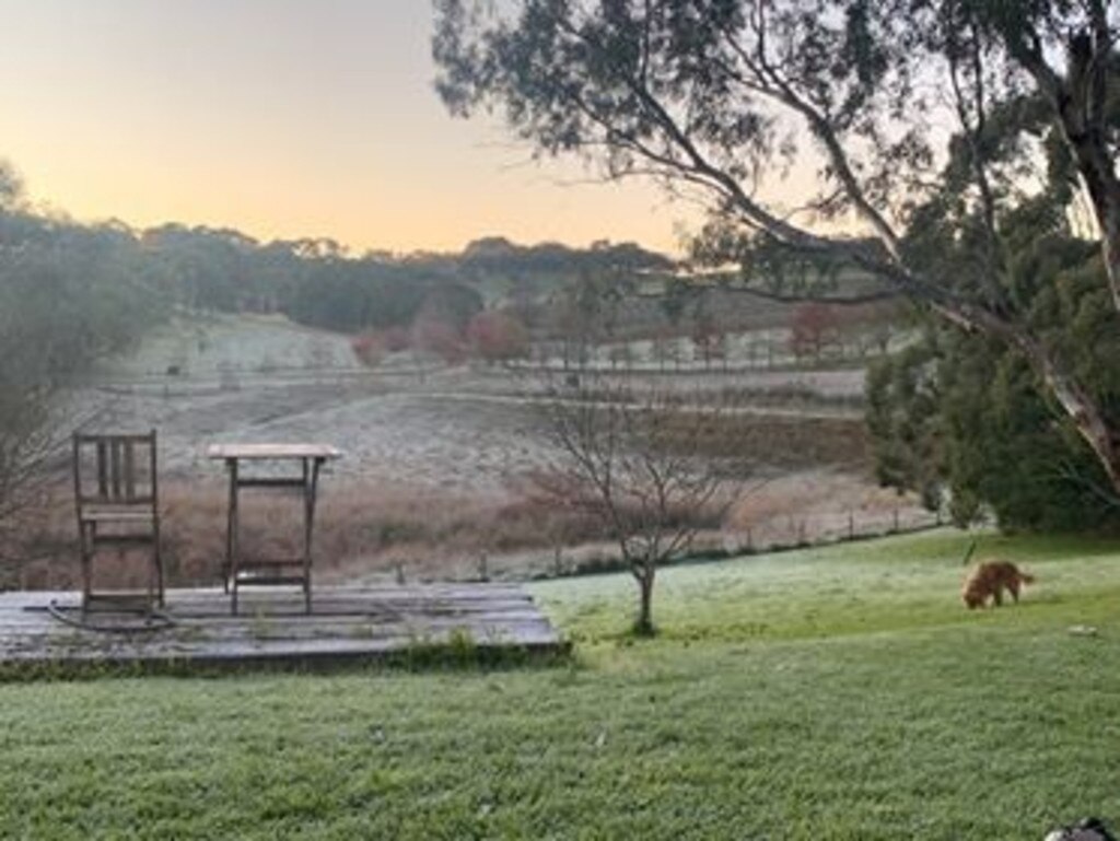 A chilly morning in Meadows. Picture: Sarah Zanker