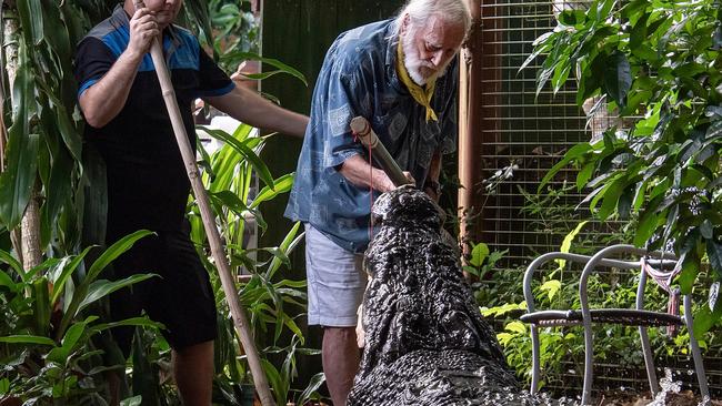 George Craig and Cassius the crocodile on Green Island. Picture: Brian Cassey