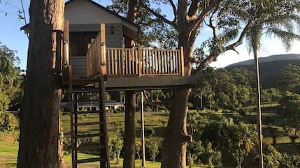 Treehouse accommodation at Austinvilla Estate, Austinville, Gold Coast