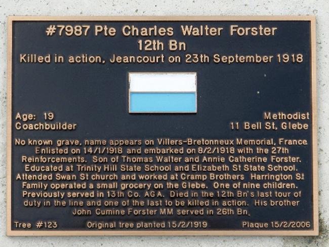 Memorial plaque to Private Charles Walter Forster on the Solders' Memorial Avenue in Hobart.