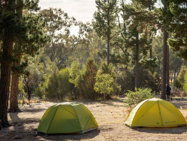 Campers at The Pines camp site at the base of Mount Arapiles. Picture: Jason Edwards