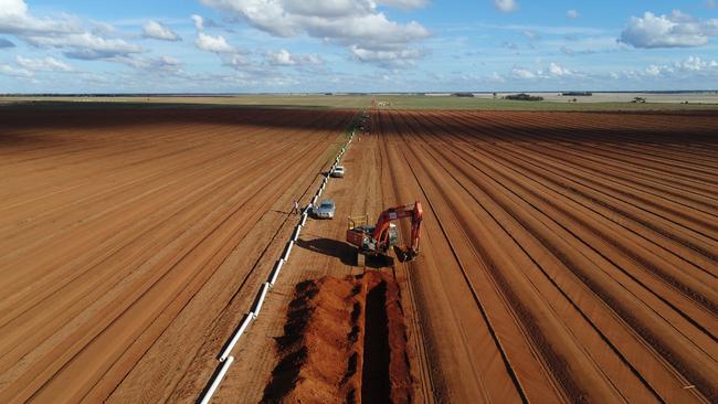 GoFarm’s Maffra property.