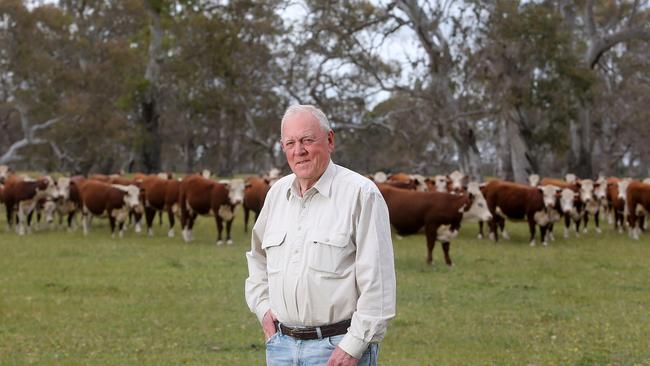 Finishing touch: John Wyld on his farm near Coleraine in Victoria’s Western District.