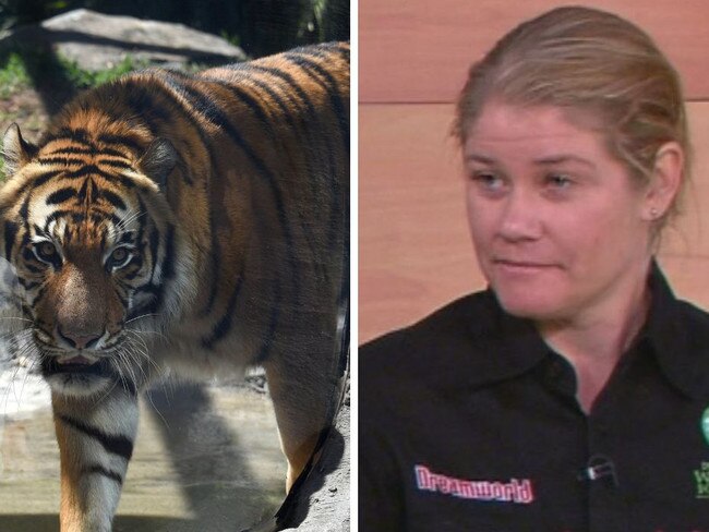 Melissa Reynolds suffered deep lacerations to her arm after a tiger attacked her at Dreamworld. Picture: Supplied.