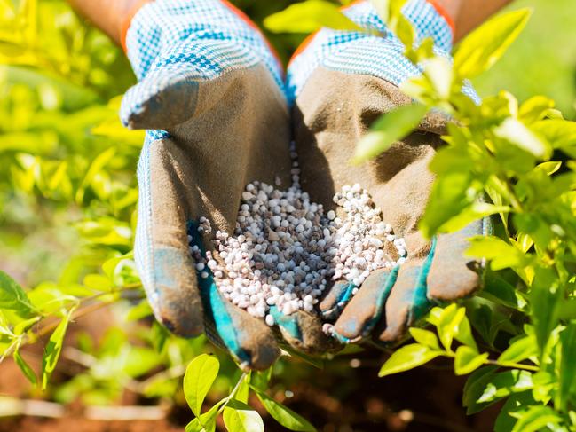 Fertiliser is important for healthy, luscious plants.