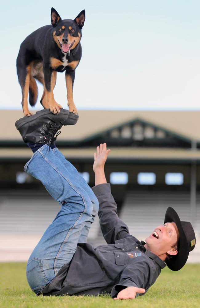 World-record jumping dog Nimble will show off her impressive tricks at the Black Hawk Dogs Pavilion. Picture: Alex Coppel.