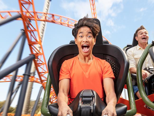 Experience the Steel Taipan at Dreamworld